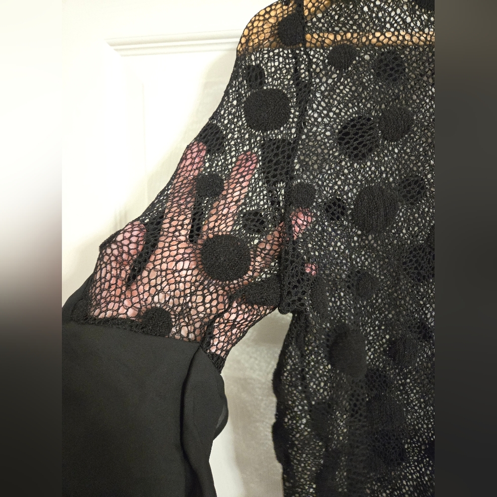 Impulsive Black Mesh Polka Dot Top with Ruffled Sleeves size large - Picture 3 of 4